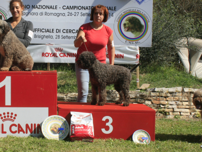 1_bagnara12-02