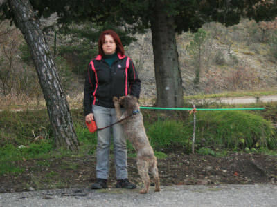 arezzo13-01