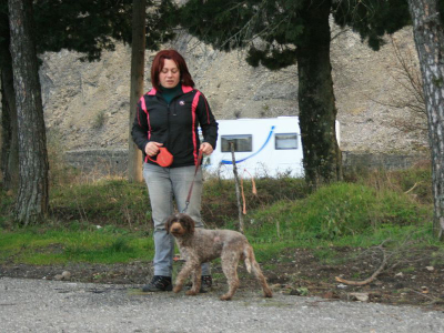 arezzo13-02