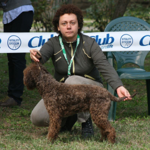 bagnara10-05