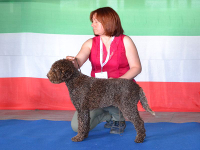 firenze14-01