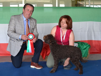 firenze14-02