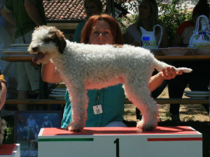 imola13-02