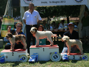 imola13-03