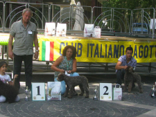mercogliano12-04