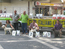 mercogliano12-05