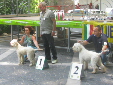 mercogliano12-06