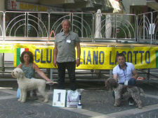 mercogliano12-07