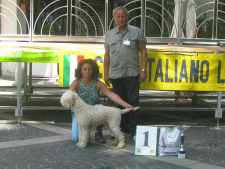 mercogliano12-08