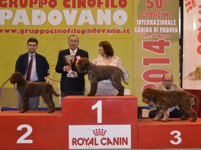 padova14-02