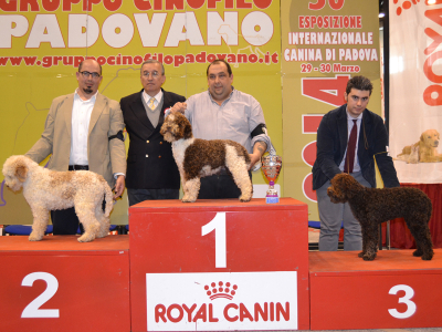 padova14-04