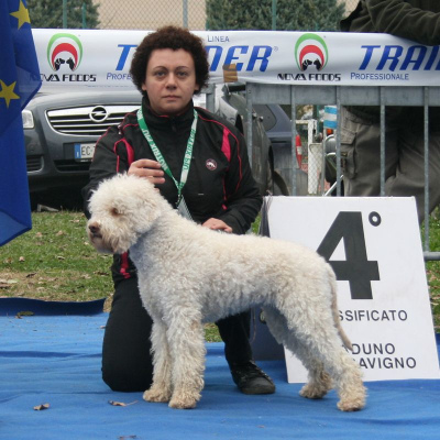 savigno10-02