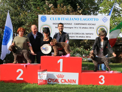 bagno16-08