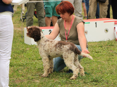 imola16-01