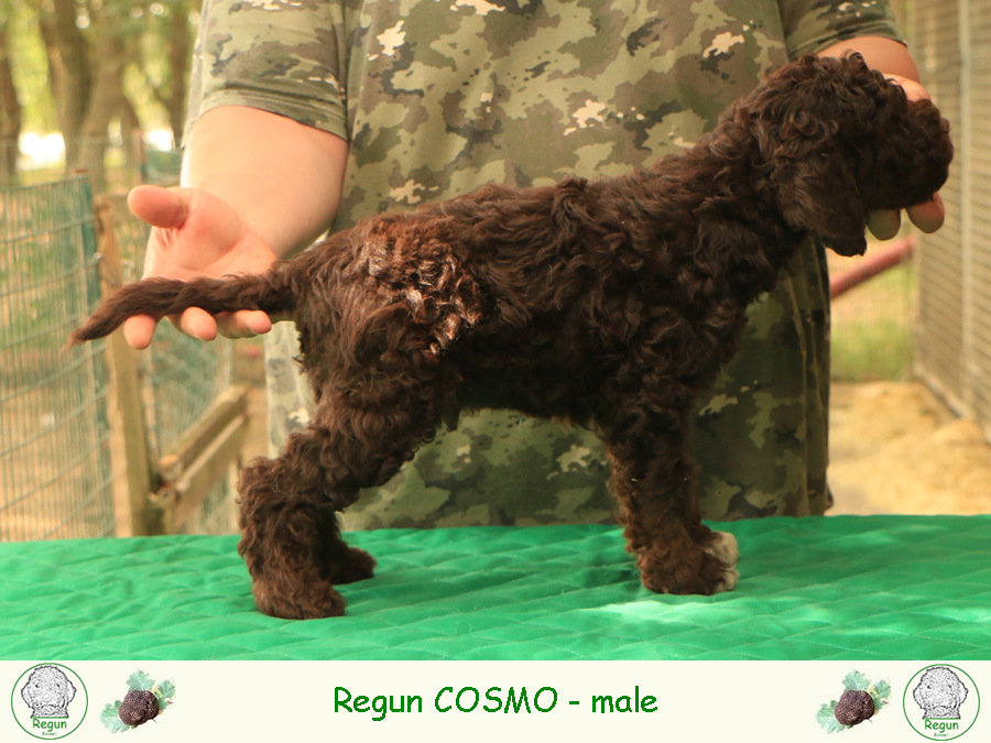 cosmo01