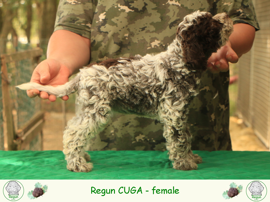 cuga01