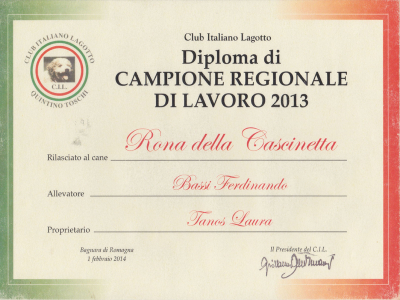 rona-ChReg2013