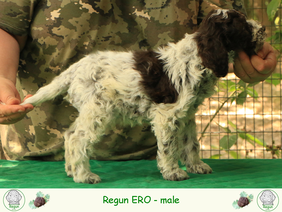 ero01