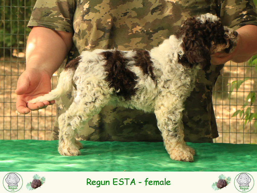 esta01