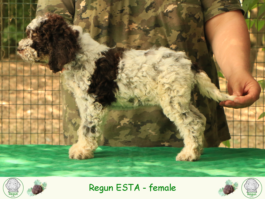 esta02