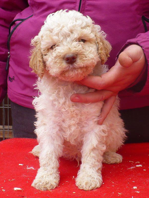 kusto02